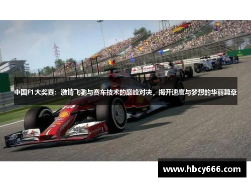 中国F1大奖赛：激情飞驰与赛车技术的巅峰对决，揭开速度与梦想的华丽篇章