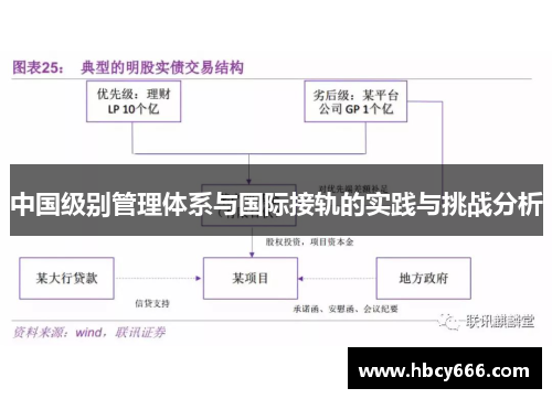 中国级别管理体系与国际接轨的实践与挑战分析